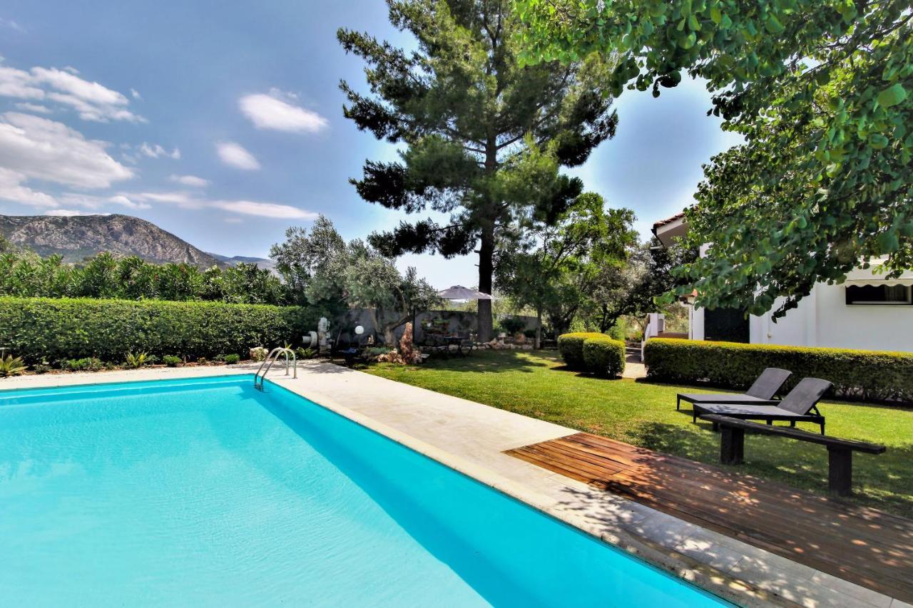 Villa Korina Metochi  エクステリア 写真
