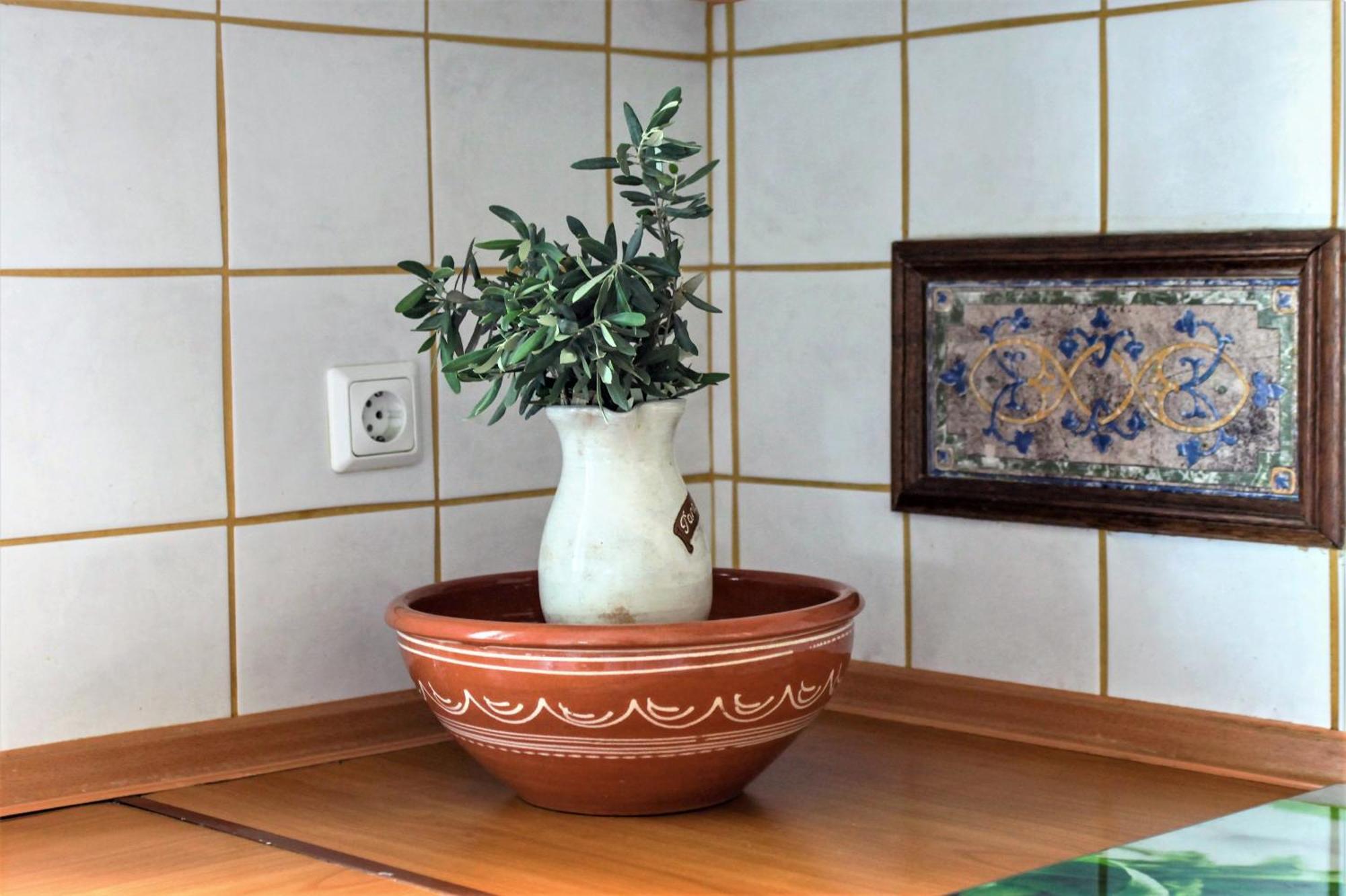Villa Korina Metochi  エクステリア 写真