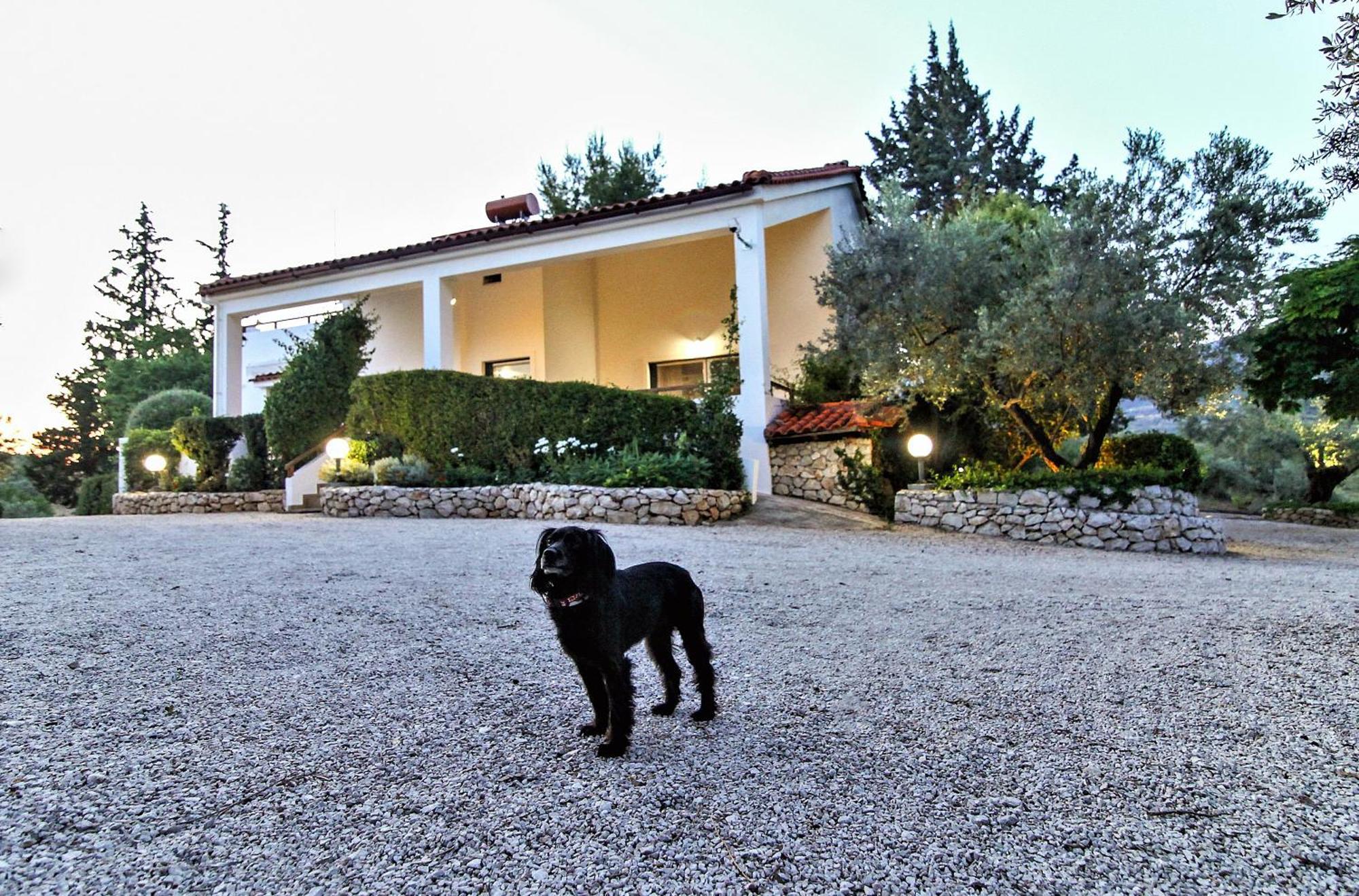 Villa Korina Metochi  エクステリア 写真